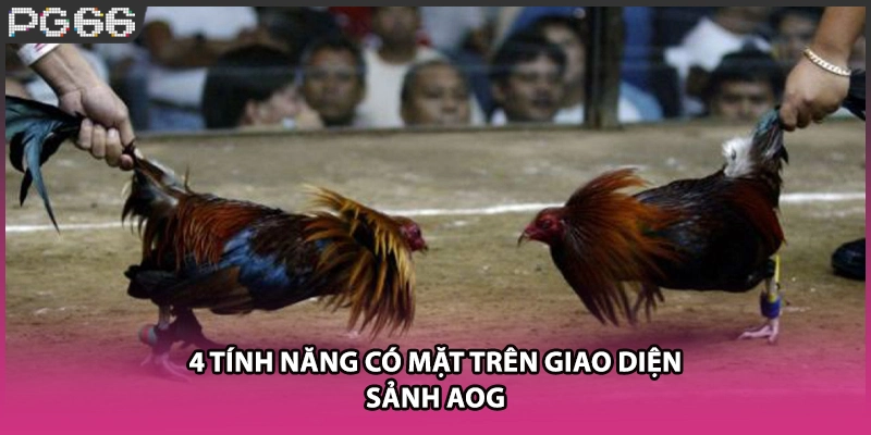 4 tính năng có mặt trên giao diện sảnh AOG 4 tính năng có mặt trên giao diện sảnh AOG