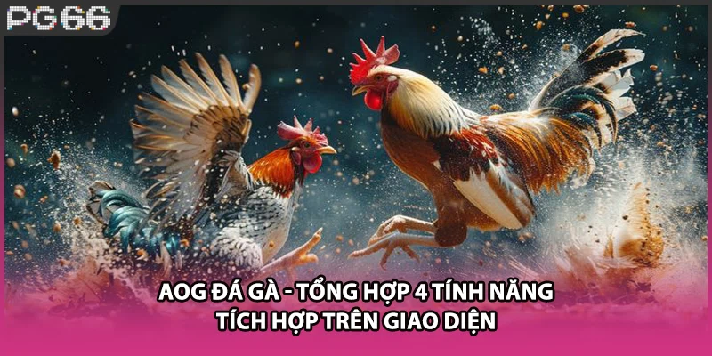 AOG Đá Gà - Tổng Hợp 4 Tính Năng Tích Hợp Trên Giao Diện