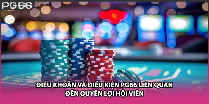 Điều khoản và điều kiện PG66 liên quan đến quyền lợi hội viên