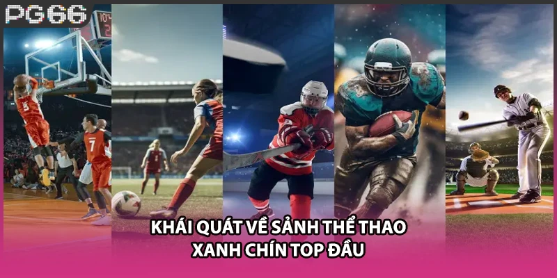 Khái quát về sảnh thể thao xanh chín top đầu