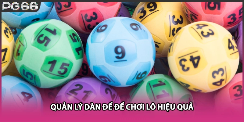 Quản lý dàn để để chơi lô hiệu quả Quản lý dàn để để chơi lô hiệu quả